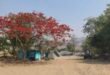 सक्ती :-ग्राम बैलाचुवा एवं ग्राम जगदल्ली का पत्थर खदानो के मुख्य प्रवेश द्वार के समीप में खदान से जुडे आवश्यक अति महत्वपूर्ण जानकारियां उल्लेखित सूचना बोर्ड नहीं लगाए जाने से भारी अनियमितता बरते जाने का लोगो मे बढ रहा संदेह..पत्थर खदानो के दस्तावेजो का अवलोकन कर भौतिक सत्यापन करते हुए जांच कर अनियमितता बरतने पाए जाने पर पत्थर खदान संचालको के खिलाफ नियमानुसार उचित कार्यवाही करने हिन्देश एजुकेशन हेल्थ एण्ड वेलफेयर फाउण्डेशन के अध्यक्ष सुनिल कुमार बर्मन ने कलेक्टर एवं जिला खनिज अधिकारी को लिखा पत्र…