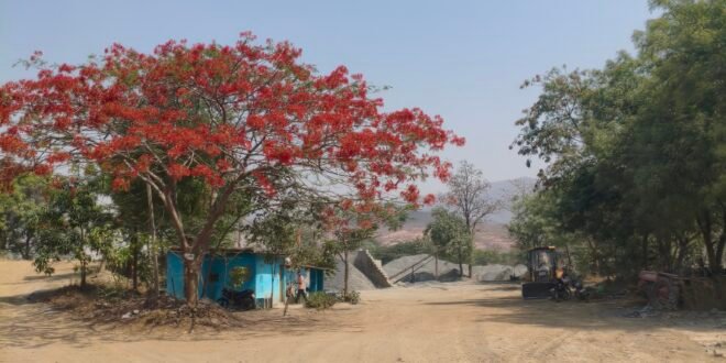 सक्ती :-ग्राम बैलाचुवा एवं ग्राम जगदल्ली का पत्थर खदानो के मुख्य प्रवेश द्वार के समीप में खदान से जुडे आवश्यक अति महत्वपूर्ण जानकारियां उल्लेखित सूचना बोर्ड नहीं लगाए जाने से भारी अनियमितता बरते जाने का लोगो मे बढ रहा संदेह..पत्थर खदानो के दस्तावेजो का अवलोकन कर भौतिक सत्यापन करते हुए जांच कर अनियमितता बरतने पाए जाने पर पत्थर खदान संचालको के खिलाफ नियमानुसार उचित कार्यवाही करने हिन्देश एजुकेशन हेल्थ एण्ड वेलफेयर फाउण्डेशन के अध्यक्ष सुनिल कुमार बर्मन ने कलेक्टर एवं जिला खनिज अधिकारी को लिखा पत्र…