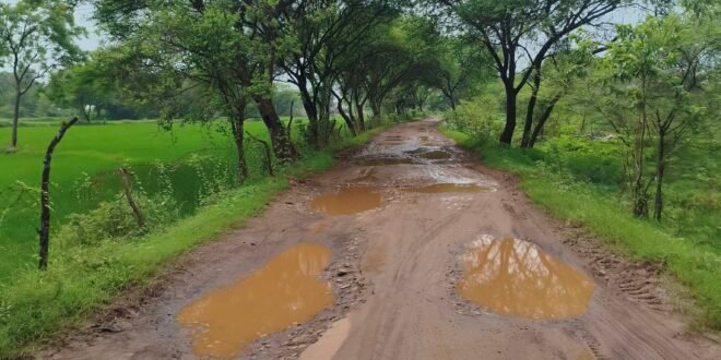 डभरा-मालखरौदा:- कुशमुल-सिंघरा पहुंच मार्ग का अति जर्जर अवस्था मे होने के कारण राहगीर परेशान..हिन्देश एजुकेशन हेल्थ एण्ड वेलफेयर फाउण्डेशन के अध्यक्ष सुनिल कुमार बर्मन ने कुशमुल-सिंघरा अति जर्जर सडक का तत्काल मरम्मत कार्य करवाने सीएम हेल्पलाइन मे की मांग…
